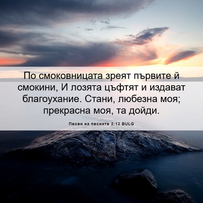 Picture 06 - Песен на песните 2:13 BULG - По смоковницата зреят - Bible Verse Picture