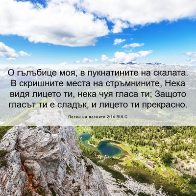 Picture 06 - Песен на песните 2:14 BULG - О гълъбице моя, в - Bible Verse Picture