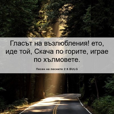 Picture 06 - Песен на песните 2:8 BULG - Гласът на възлюбления! ето, - Bible Verse Picture