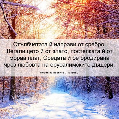 Picture 06 - Песен на песните 3:10 BULG - Стълбчетата й направи от - Bible Verse Picture