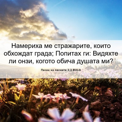 Picture 06 - Песен на песните 3:3 BULG - Намериха ме стражарите, - Bible Verse Picture