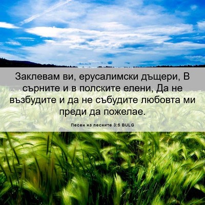 Picture 06 - Песен на песните 3:5 BULG - Заклевам ви, ерусалимски - Bible Verse Picture