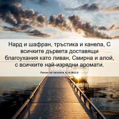 Picture 06 - Песен на песните 4:14 BULG - Нард и шафран, тръстика и - Bible Verse Picture