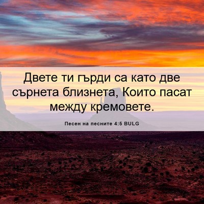 Picture 06 - Песен на песните 4:5 BULG - Двете ти гърди са като две - Bible Verse Picture