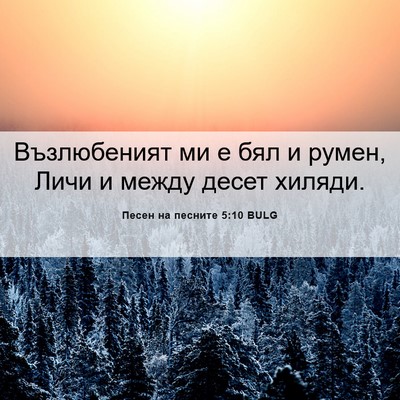 Picture 06 - Песен на песните 5:10 BULG - Възлюбеният ми е бял и - Bible Verse Picture