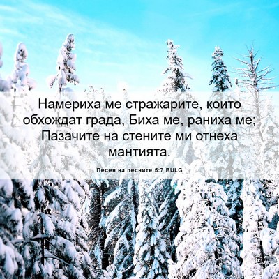 Picture 06 - Песен на песните 5:7 BULG - Намериха ме стражарите, - Bible Verse Picture