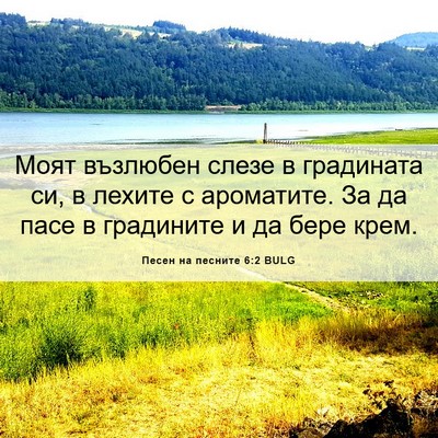 Picture 06 - Песен на песните 6:2 BULG - Моят възлюбен слезе в - Bible Verse Picture
