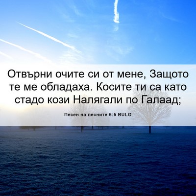 Picture 06 - Песен на песните 6:5 BULG - Отвърни очите си от мене, - Bible Verse Picture