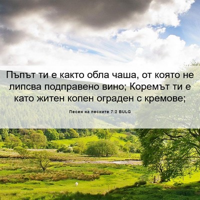 Picture 06 - Песен на песните 7:2 BULG - Пъпът ти е както обла чаша, - Bible Verse Picture