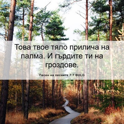 Picture 06 - Песен на песните 7:7 BULG - Това твое тяло прилича на - Bible Verse Picture