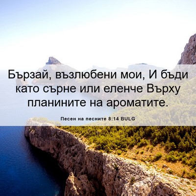 Picture 06 - Песен на песните 8:14 BULG - Бързай, възлюбени мои, И - Bible Verse Picture