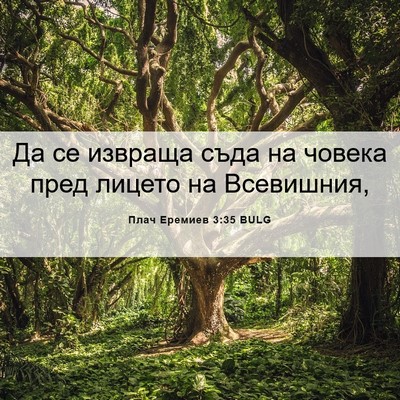 Picture 06 - Плач Еремиев 3:35 BULG - Да се извраща съда на - Bible Verse Picture