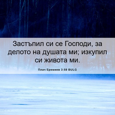 Picture 06 - Плач Еремиев 3:58 BULG - Застъпил си се Господи, за - Bible Verse Picture