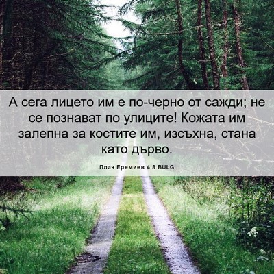 Picture 06 - Плач Еремиев 4:8 BULG - А сега лицето им е по-черно - Bible Verse Picture