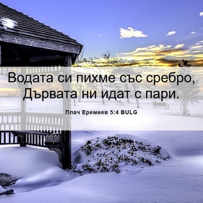 Picture 06 - Плач Еремиев 5:4 BULG - Водата си пихме със сребро, - Bible Verse Picture