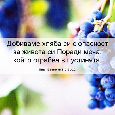 Picture 06 - Плач Еремиев 5:9 BULG - Добиваме хляба си с - Bible Verse Picture