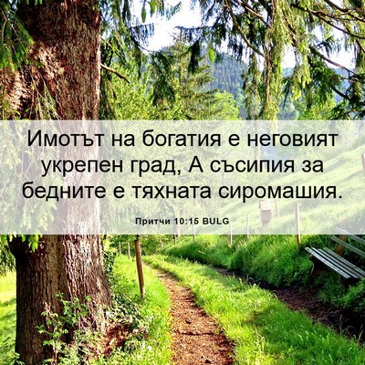 Picture 06 - Притчи 10:15 BULG - Имотът на богатия е - Bible Verse Picture