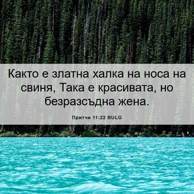 Picture 06 - Притчи 11:22 BULG - Както е златна халка на - Bible Verse Picture
