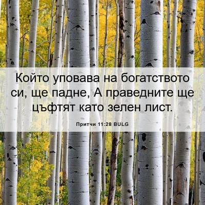 Picture 06 - Притчи 11:28 BULG - Който уповава на - Bible Verse Picture