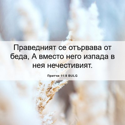 Picture 06 - Притчи 11:8 BULG - Праведният се отървава от - Bible Verse Picture