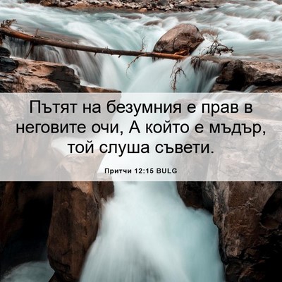 Picture 06 - Притчи 12:15 BULG - Пътят на безумния е прав в - Bible Verse Picture