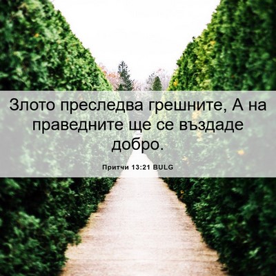 Picture 06 - Притчи 13:21 BULG - Злото преследва грешните, - Bible Verse Picture