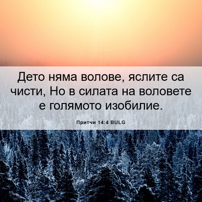 Picture 06 - Притчи 14:4 BULG - Дето няма волове, яслите са - Bible Verse Picture