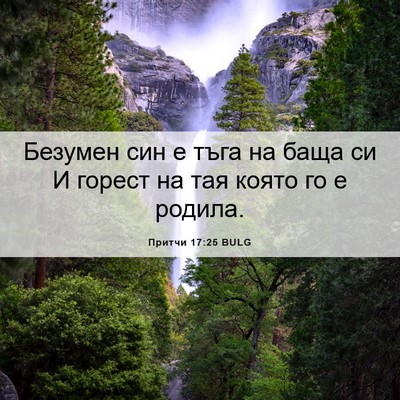 Picture 06 - Притчи 17:25 BULG - Безумен син е тъга на баща - Bible Verse Picture