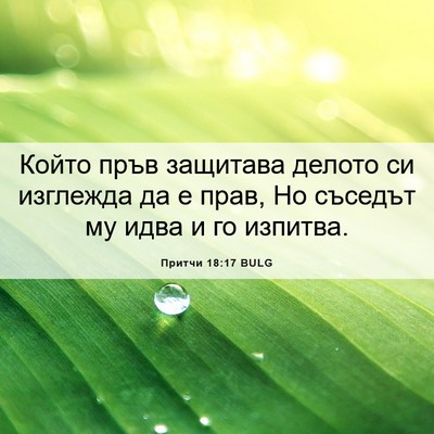 Picture 06 - Притчи 18:17 BULG - Който пръв защитава делото - Bible Verse Picture