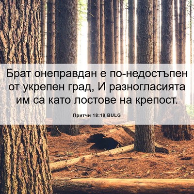 Picture 06 - Притчи 18:19 BULG - Брат онеправдан е - Bible Verse Picture