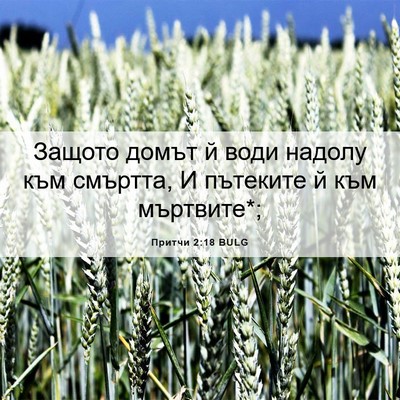 Picture 06 - Притчи 2:18 BULG - Защото домът й води надолу - Bible Verse Picture
