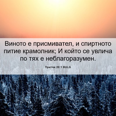 Picture 06 - Притчи 20:1 BULG - Виното е присмивател, и - Bible Verse Picture
