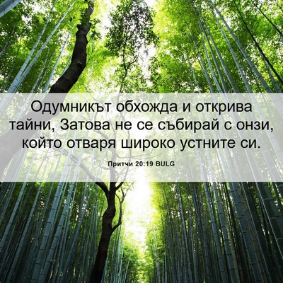 Picture 06 - Притчи 20:19 BULG - Одумникът обхожда и - Bible Verse Picture