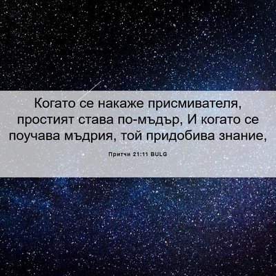 Picture 06 - Притчи 21:11 BULG - Когато се накаже - Bible Verse Picture