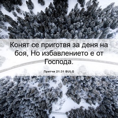 Picture 06 - Притчи 21:31 BULG - Конят се приготвя за деня - Bible Verse Picture
