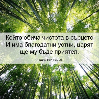 Picture 06 - Притчи 22:11 BULG - Който обича чистота в - Bible Verse Picture