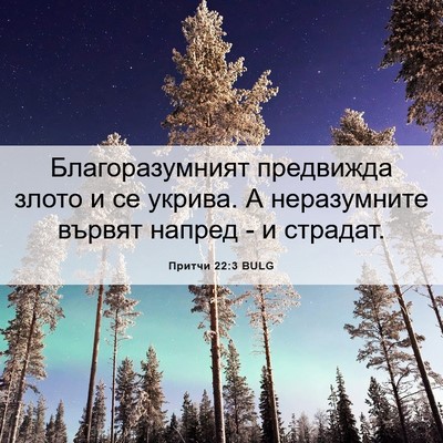 Picture 06 - Притчи 22:3 BULG - Благоразумният предвижда - Bible Verse Picture