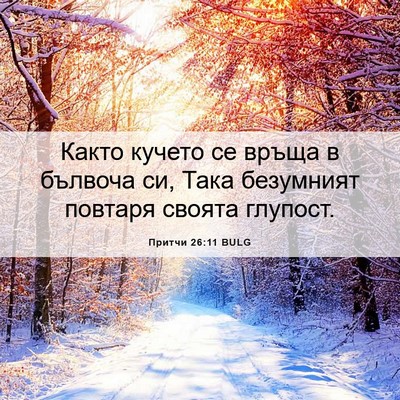Picture 06 - Притчи 26:11 BULG - Както кучето се връща в - Bible Verse Picture