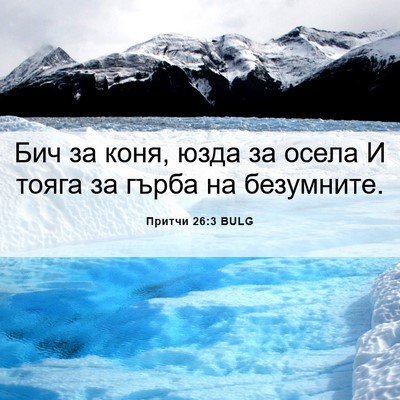 Picture 06 - Притчи 26:3 BULG - Бич за коня, юзда за осела И - Bible Verse Picture