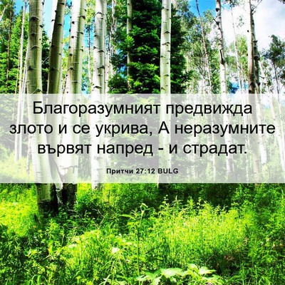 Picture 06 - Притчи 27:12 BULG - Благоразумният предвижда - Bible Verse Picture
