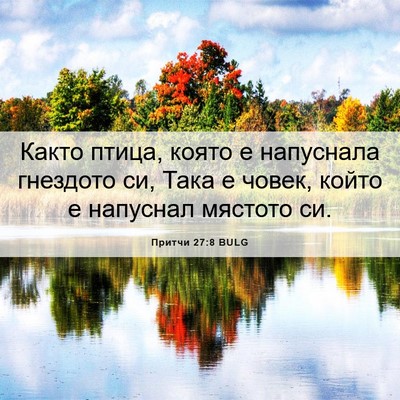 Picture 06 - Притчи 27:8 BULG - Както птица, която е - Bible Verse Picture