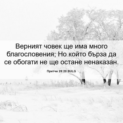 Picture 06 - Притчи 28:20 BULG - Верният човек ще има много - Bible Verse Picture