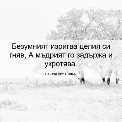 Picture 06 - Притчи 29:11 BULG - Безумният изригва целия си - Bible Verse Picture