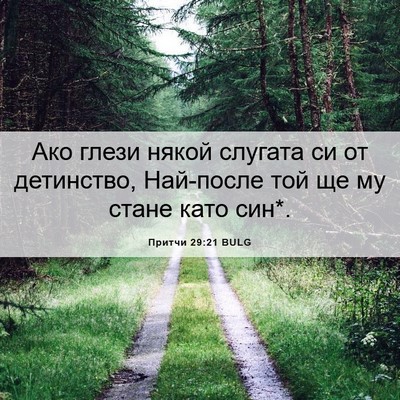 Picture 06 - Притчи 29:21 BULG - Ако глези някой слугата си - Bible Verse Picture