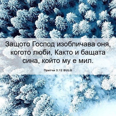 Picture 06 - Притчи 3:12 BULG - Защото Господ изобличава - Bible Verse Picture