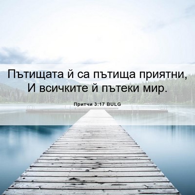 Picture 06 - Притчи 3:17 BULG - Пътищата й са пътища - Bible Verse Picture