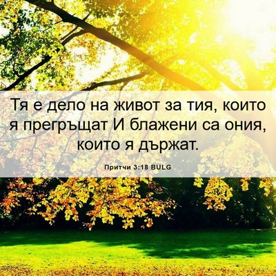 Picture 06 - Притчи 3:18 BULG - Тя е дело на живот за тия, - Bible Verse Picture