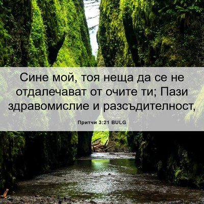 Picture 06 - Притчи 3:21 BULG - Сине мой, тоя неща да се не - Bible Verse Picture