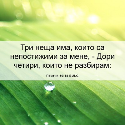 Picture 06 - Притчи 30:18 BULG - Три неща има, които са - Bible Verse Picture