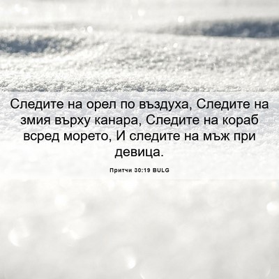 Picture 06 - Притчи 30:19 BULG - Следите на орел по въздуха, - Bible Verse Picture